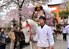 平野神社 - 桜花祭EC