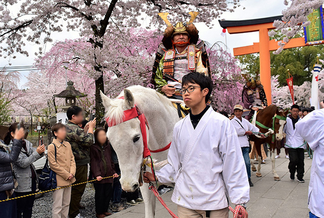 平野神社 桜花祭 で 華やかな桜と時代行列を楽しむ 京都観光情報 京都ツウ読本