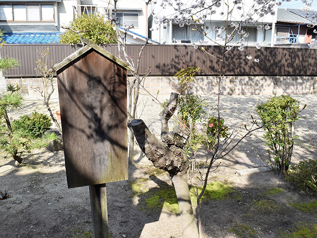 桜の隠れた名所「墨染寺（ぼくせんじ）」 | 京都観光情報 京都ツウ読本