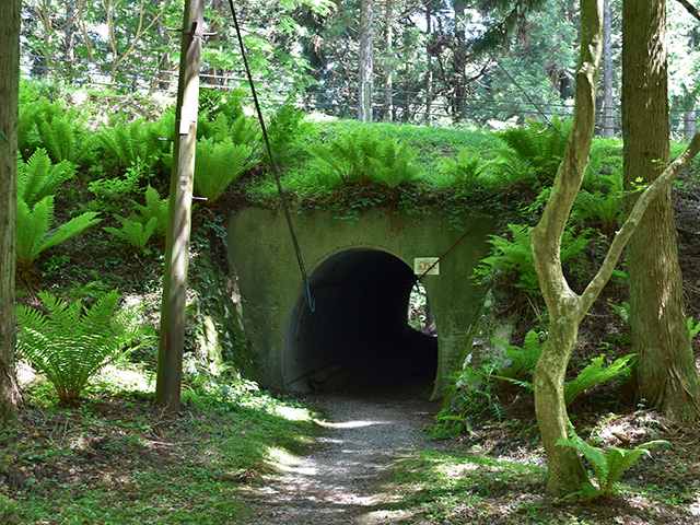 トンネル（京都一周トレイル）